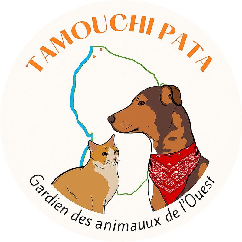 TamouchiPata